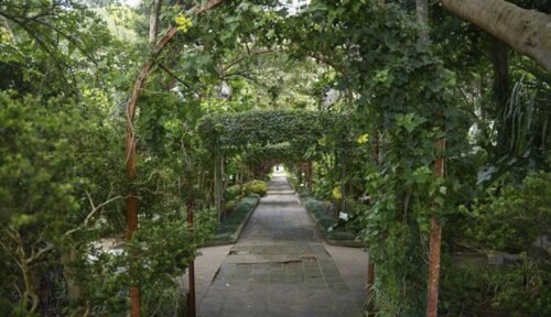 Jardín Botánico
