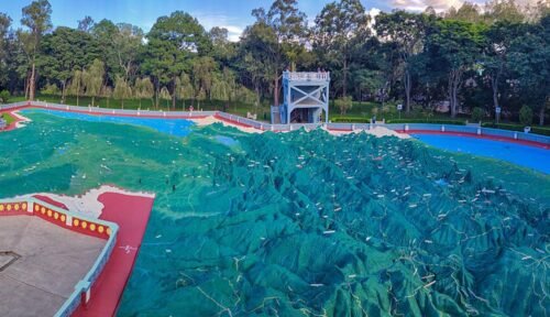 Mapa en Relieve y Bosque de Hormigo