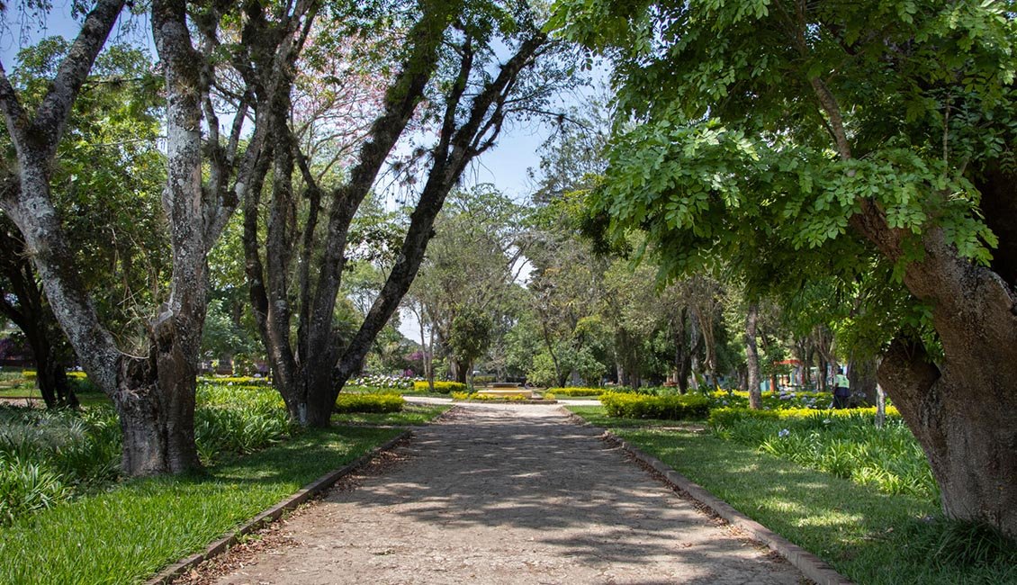 Parque Minerva