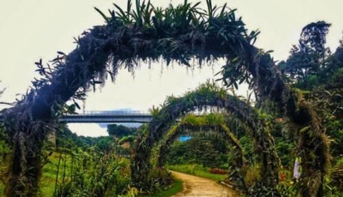 Parque Ecológico La Asunción
